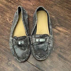 Coach Snakeskin loafers